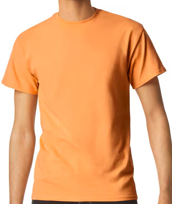 Gildan Short Sleeve T-Shirt