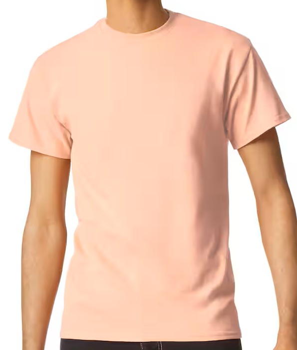 Gildan Short Sleeve T-Shirt